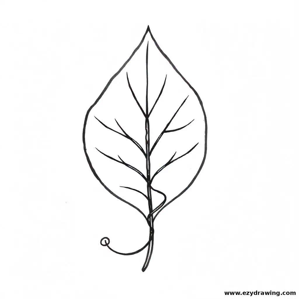 A leaf featuring a unique spiral pattern inside, adding an artistic element.
