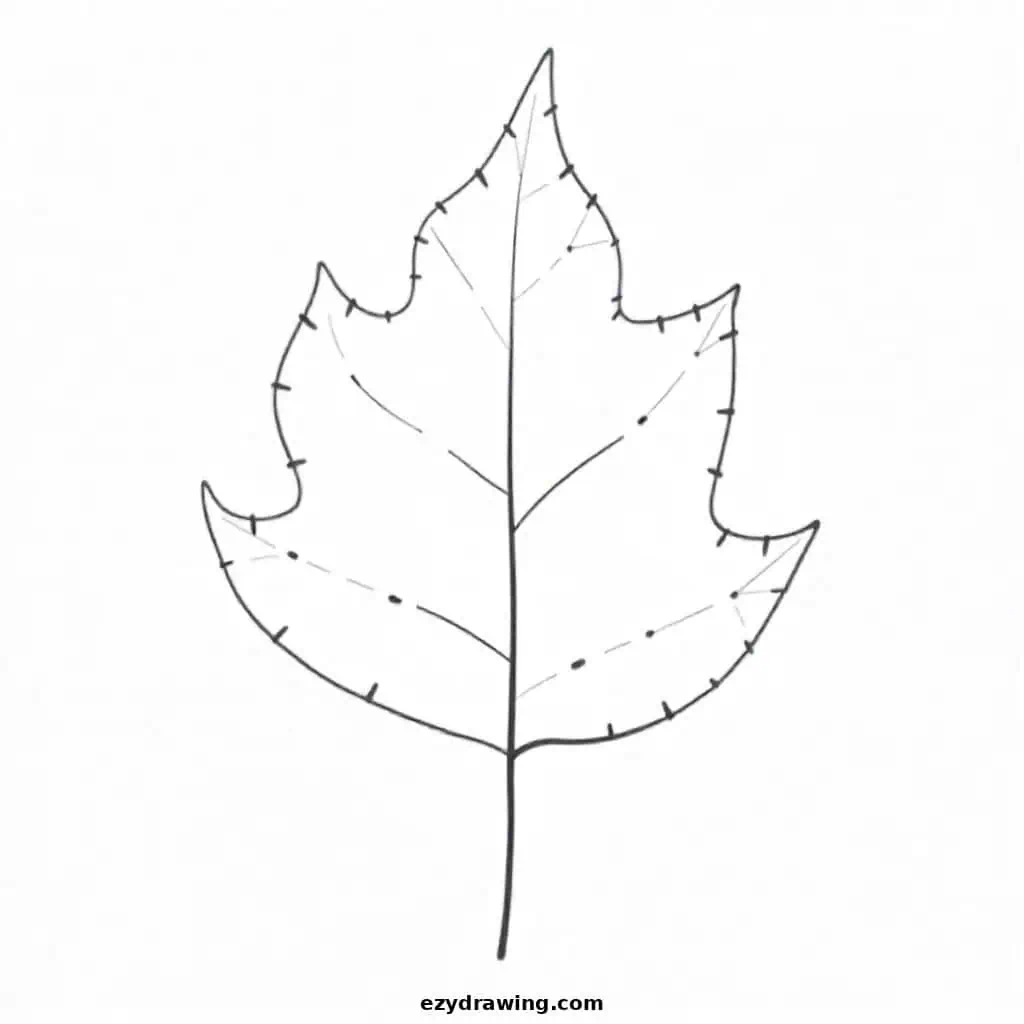 A spear-shaped leaf with a sleek outline and prominent central vein.
