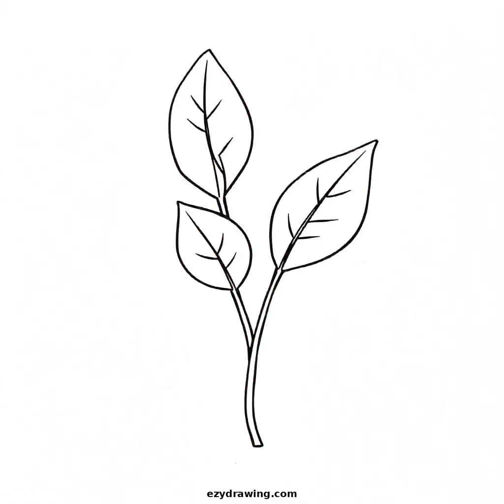 A leaf with a winding stem, showcasing graceful curves and a rounded shape.
