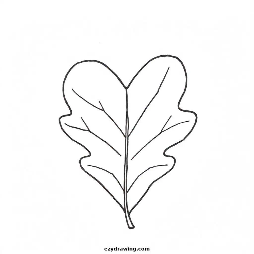 A heart-shaped leaf with a smooth outline and prominent central vein.
