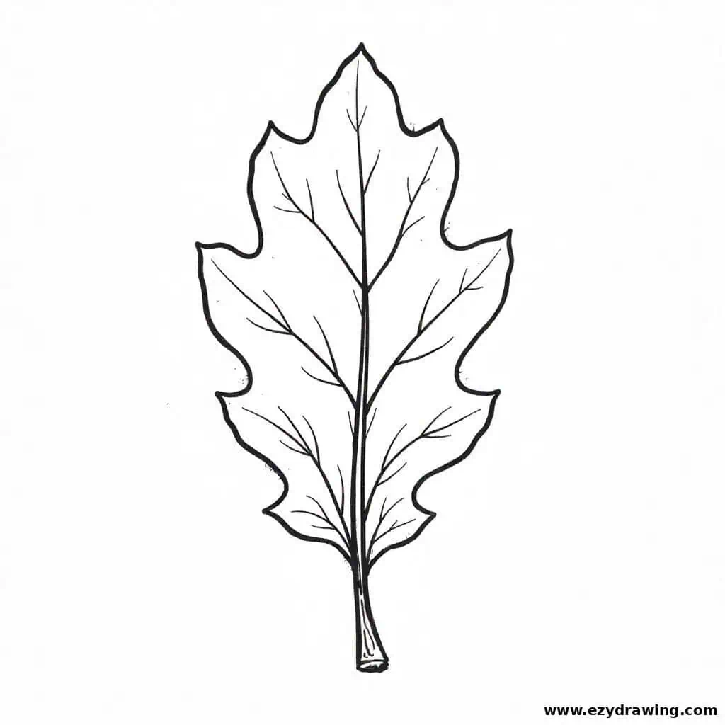 A classic oak leaf with wavy lobed edges and a prominent central vein.
