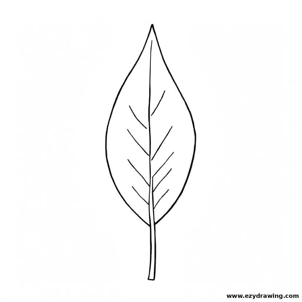 A thin, elongated leaf with a sleek shape and delicate side veins.
