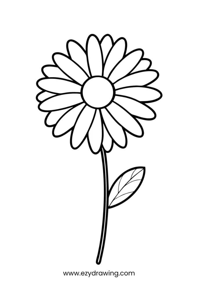 Minimal daisy flower with many petals and one leaf, an easy floral drawing idea for beginners and young kids.