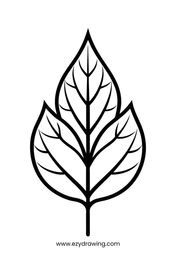 Easy leaf drawing with elegant veins—ideal for nature-loving kids looking for easy things to draw.