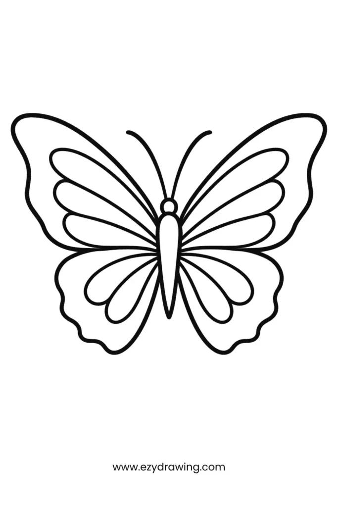 An elegant butterfly drawing with flowing lines and softly curved wings. The intricate wing patterns give it a graceful and decorative appearance.