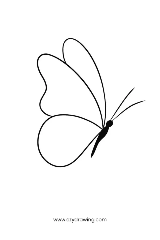 Graceful side-profile butterfly with delicate curved wings, excellent for learning realistic butterfly sketches.