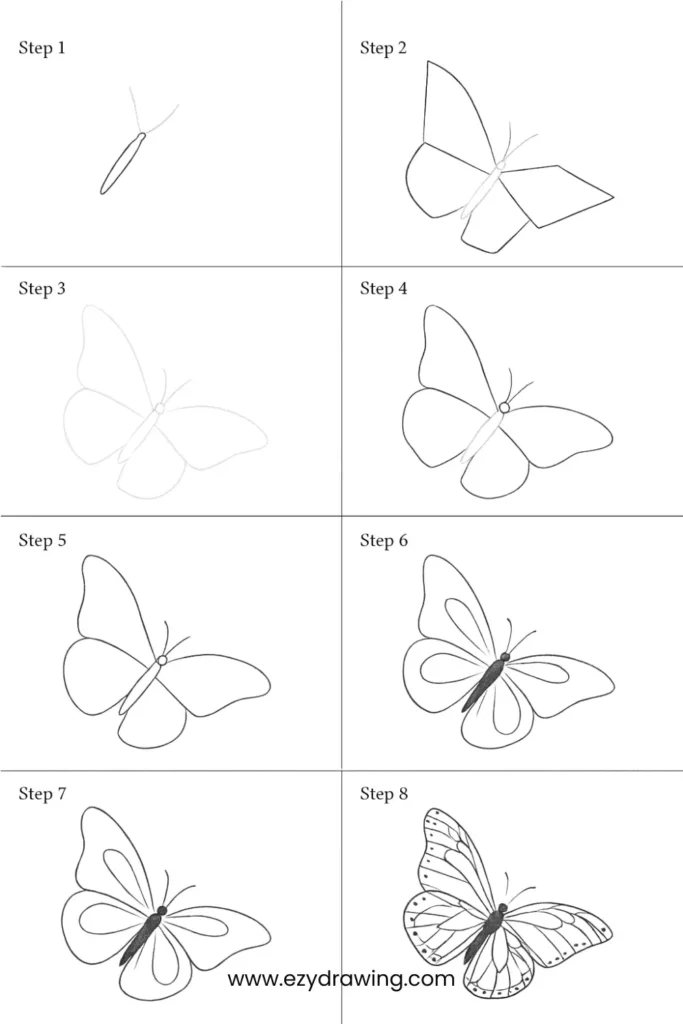 Easy 8-step tutorial showing how to draw a butterfly from basic shapes to a fully detailed design.