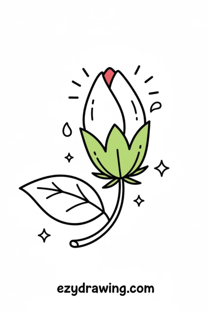 Simple hibiscus bud drawing with green sepals, single leaf, soft lines and sparkles, beginner friendly flower art for kids