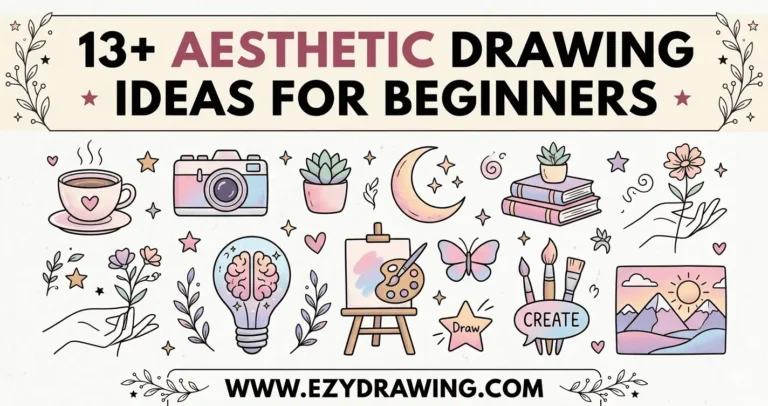 13+ aesthetic drawing ideas for beginners with cute objects, moon, plants, camera, butterfly and creative doodles