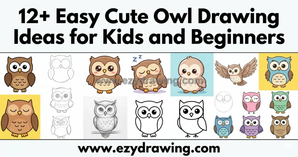 Owl Drawing Ideas