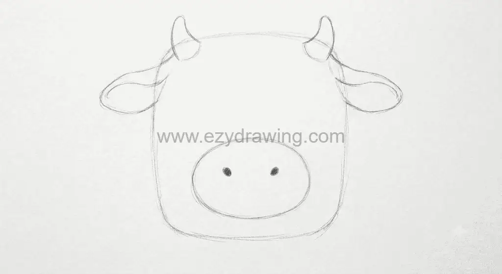 how to draw a cow step 3 shows a rounded cow head with ears, horns, muzzle, nostrils, and simple pencil outline details